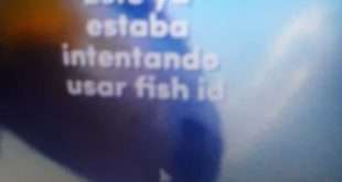 Tiró el celular al mar y pasó algo increíble: siguió grabando durante 9 minutos
